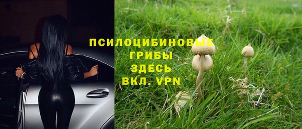 синтетический гашиш Арсеньев
