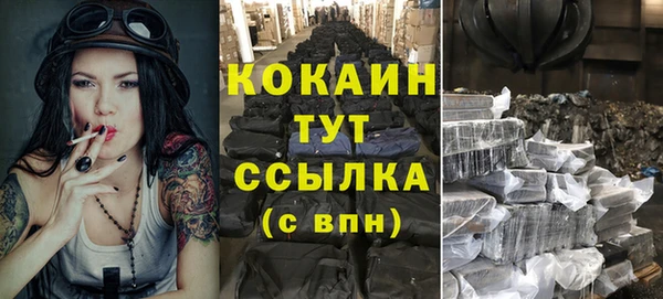 тгк Аркадак