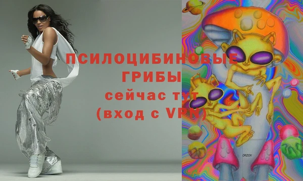 тгк Аркадак