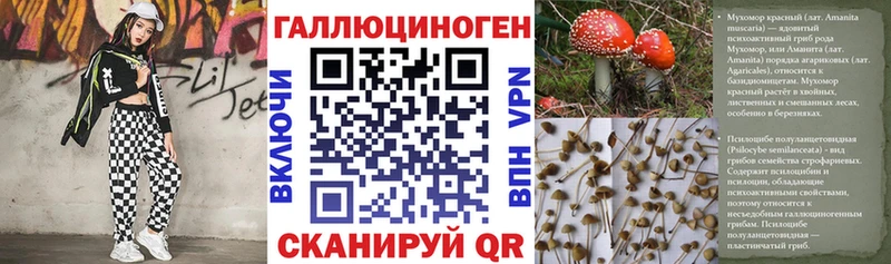 как найти закладки  Серафимович  Псилоцибиновые грибы ЛСД 